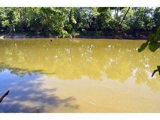 Property photo 25 - 108 +/- Acres Offered in 2 Tracts - Land Auction